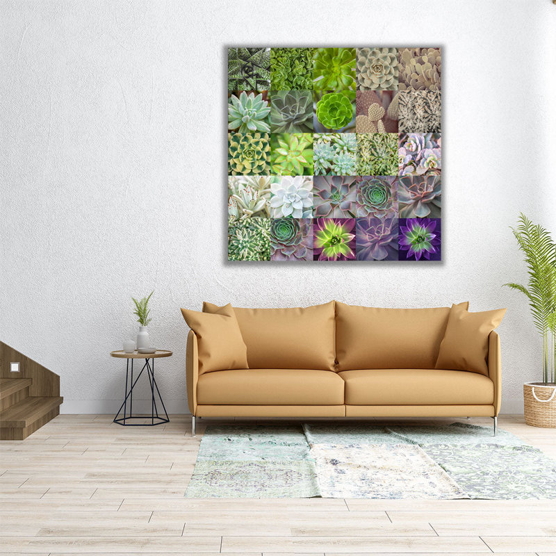 «Succulent Plants Collage», reproduction d'art sur toile, H 24 po x l 24 po