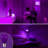 9 Watt (60 Watt Equivalent), A19 LED, Non-Dimmable Light Bulb, Purple E26/Medium (Standard) Base