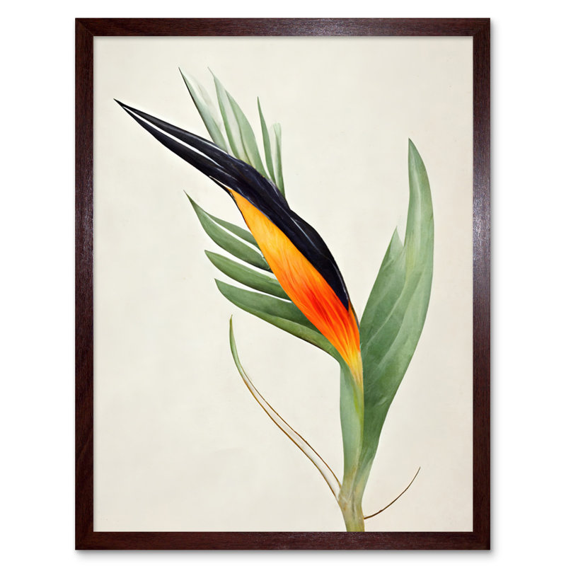 Tropical Bird Of Paradise Flower - Print, Brown Framed Paper, 25.9cm H x 20.6cm W x 1.5cm D