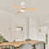 42" 3 - Blade Small Room Ceiling Fan with LED Light and Remote