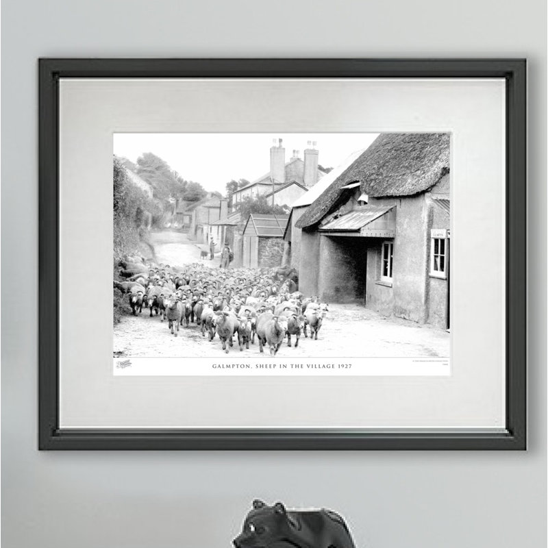Galmpton, Sheep In The Village 1927 - Single Picture Frame Print, 45cm H x 60cm W x 2.3cm D