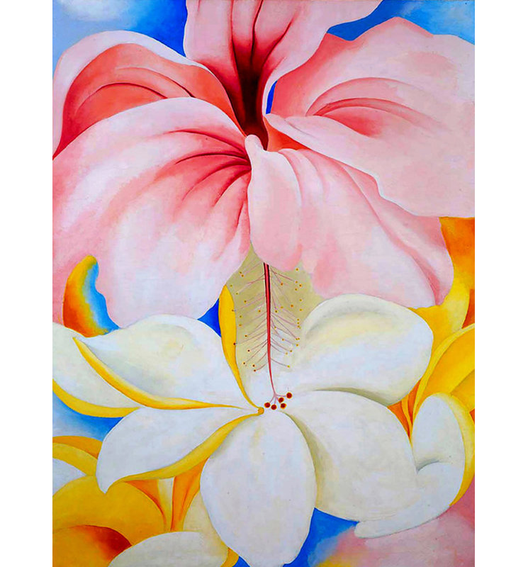 Hibiscus with Plumeria
