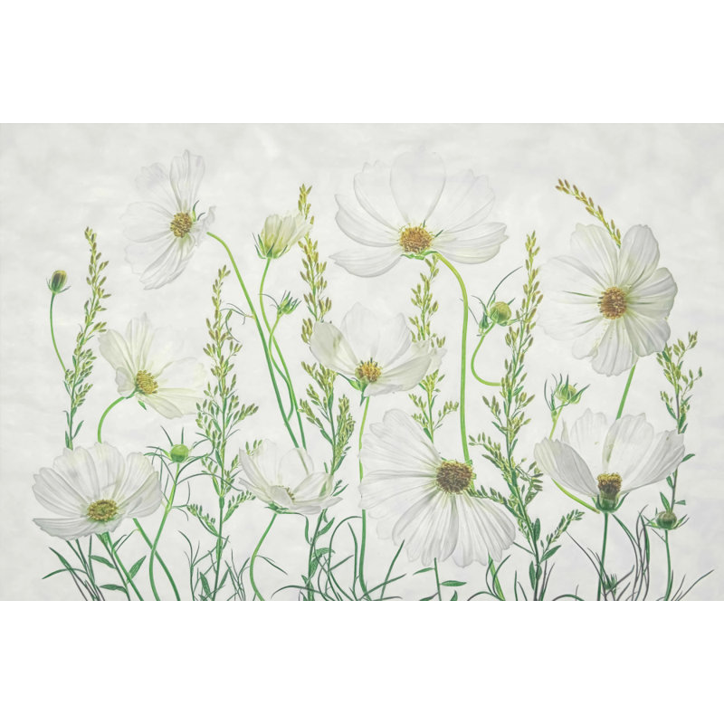 Wrapped Canvas Print, 81.28 cm H x 121.92 cm W