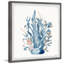 Coral Garden - Single Picture Frame Painting-231632760