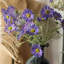 Tige de fleur d'été mauve 23,6 po-910722807