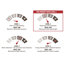Panneaux de rideaux semi-transparents rayés avec œillets Agim-1551566582-1551566583