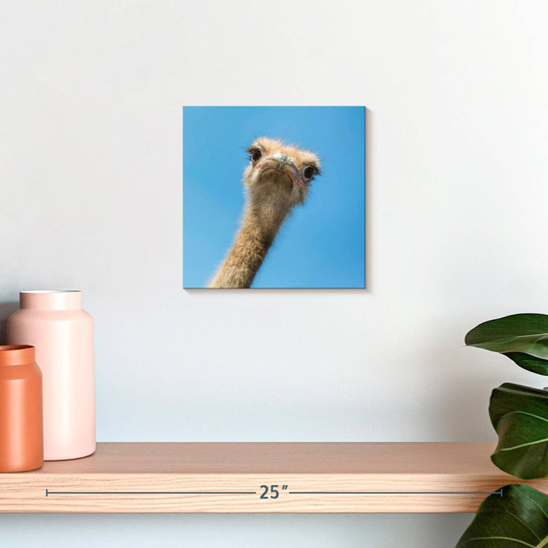 Crowle Curious Ostrich, 10" H x 10" W