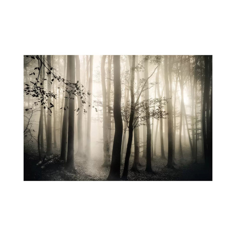 Light Is Always There by Irene Weisz - Wrapped Canvas Print, 66.04 cm H x 45.72 cm W x 3.175 cm D