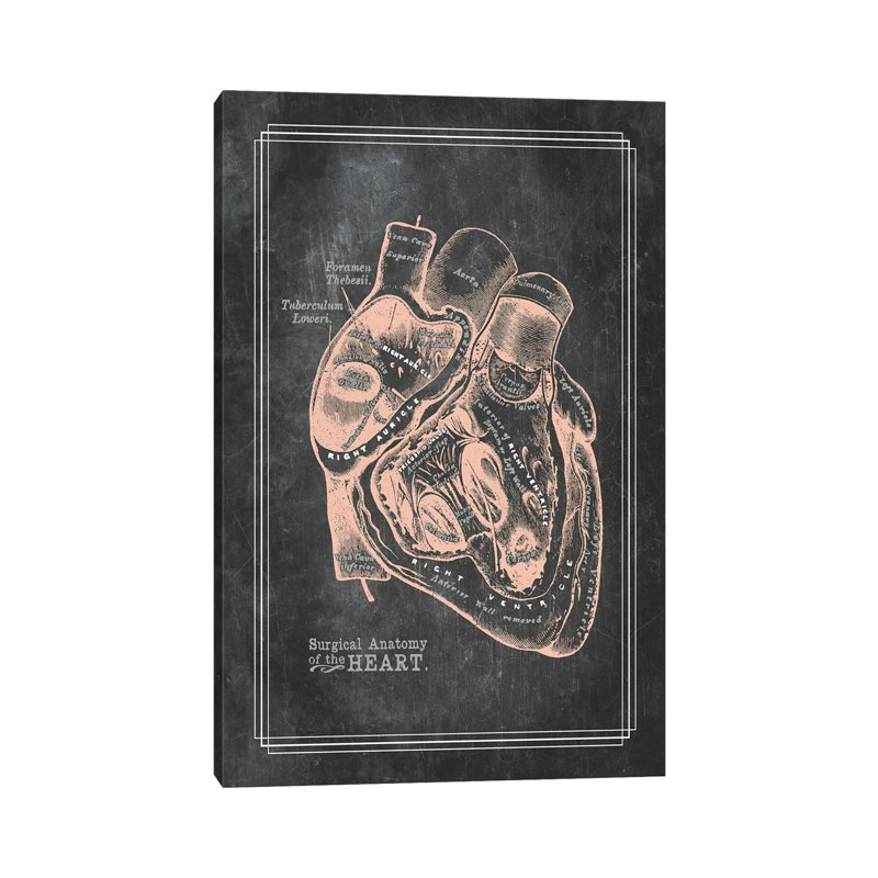 Surgical Anatomy Of The Heart - Wrapped Canvas Print, 152.5 cm H x 101.5 cm W