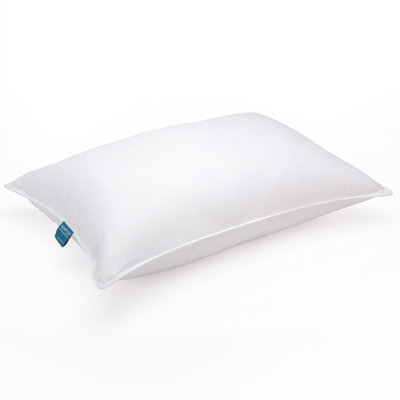 Eddie Bauer Down Blend Medium Support Chamber Pillow In White