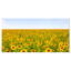 «Beautiful Sunflowers Garden», reproduction de photo sur toile tendue-19240987