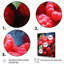 Fruit Raspberry Rhapsody Expressive, reproduction d'art sur toile-2128650102-2128650103