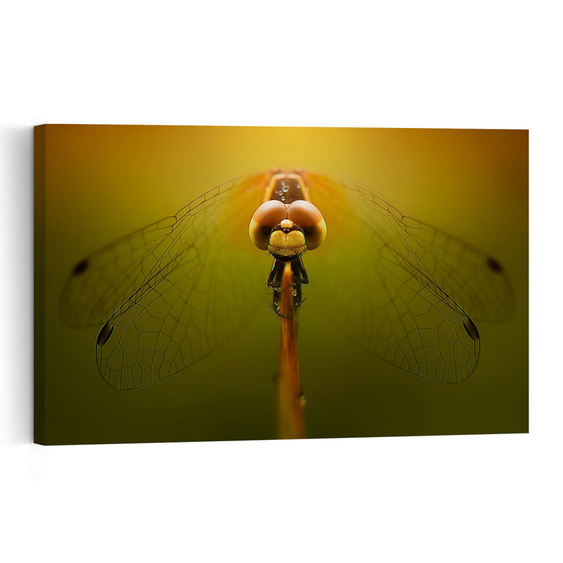 Golden Dragonfly Contemporary Dragonfly Wall Art Print 1 Piece Wrapped Canvas Wall Art, 30.48cm H x 45.72cm W