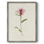 Mauve Garden Flowers VI, reproduction encadrée - bois massif-756306998