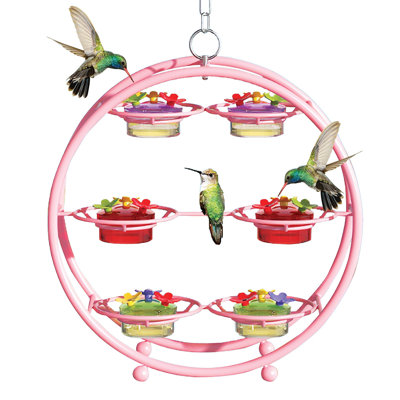 Unique 6 Bowl Hanging Hummingbird Feeder