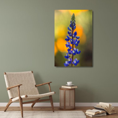 «Red Barrel Studio®», art sur toile tendue par la galerie Jaynes Gallery: Arizona, Peridot Mesa lupin