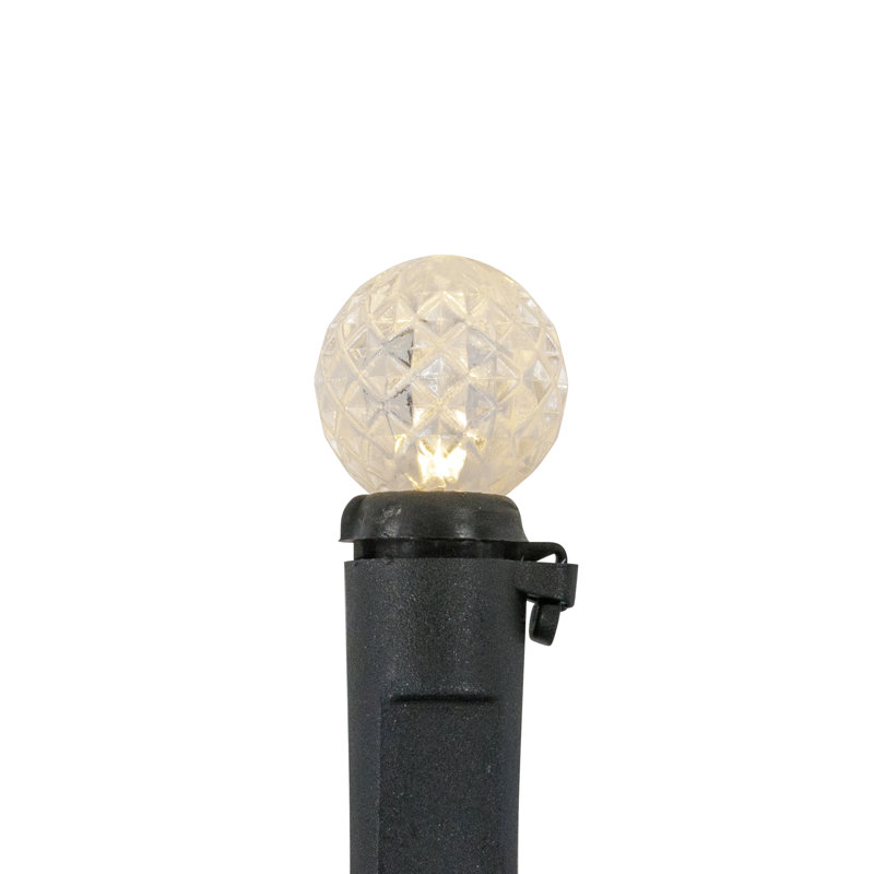 Lumières de Noël DEL G12 Berry - fil noir 16 pi - 50 carats, Blanc chaud