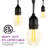 35FT Indoor/Outdoor Hanging Solar Powered & Plug-in String Lights with Remote Control Includes 11 LED Bulbs