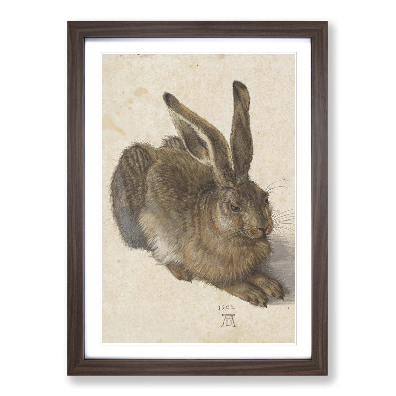 Albrecht Dürer - Single Picture Frame Print, Walnut
