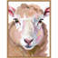 «Sheep» par Iniyah, reproduction d'art sur toile encadrée-1216481331