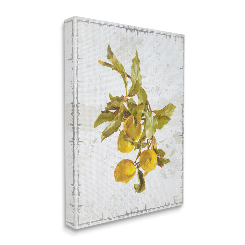 Art mural naturel branche de citron naturel par GraffiTee Studios, H 30 po x l 24 po x P 1,5 po, Wrapped Canvas
