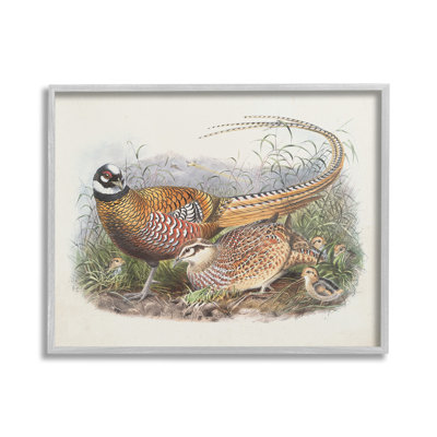 «Pheasant Family In Nature Single Frame Frame» par Wild Apple Portfolio sur toile