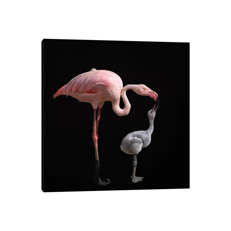 Become Pink by Mathilde Guillemot - Wrapped Canvas Painting, 30.48 cm H x 30.48 cm W