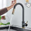 Belfry Kitchen Alcera Touch Kitchen Faucet