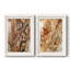 «Tree Texture Triptych I-Premium», reproduction encadrée prête à être accrochée-1200601938-1200601937