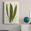 «Garden Ferns VI», impression sur toile tendue-669595548