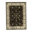 Dharma Oriental Area Rug