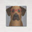 «Rhodesian Ridgeback portant des lunettes de hipster» par les affiliés Furbaby-781655429