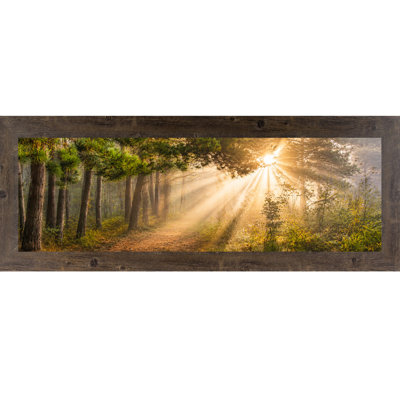 Forest Light Rays Wall Art