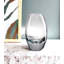 Radiant Vase-538380889