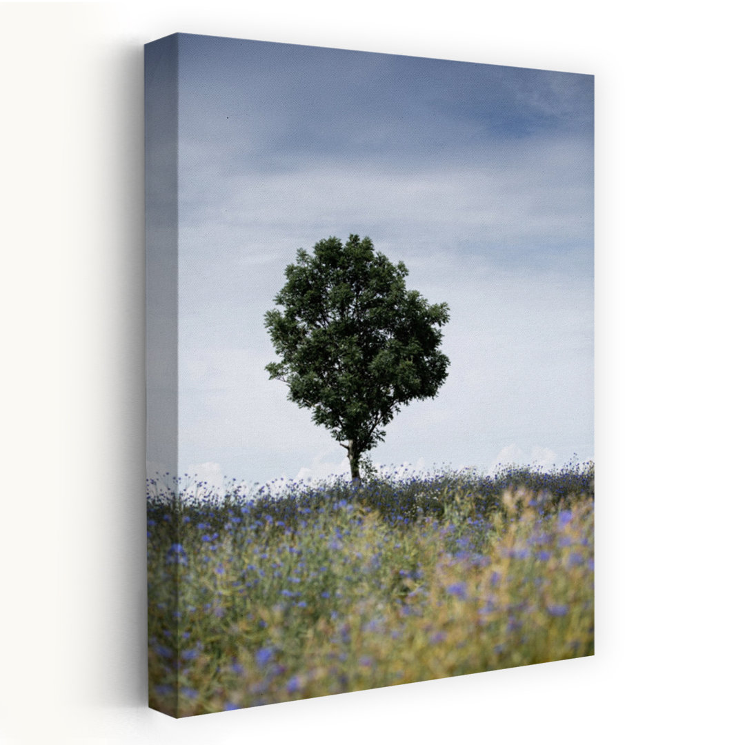 Summer Meadow Peaceful Serene Tranquil Flower Landscape Wall Art Print