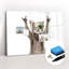 Magnetic Glass Dry Erase Board