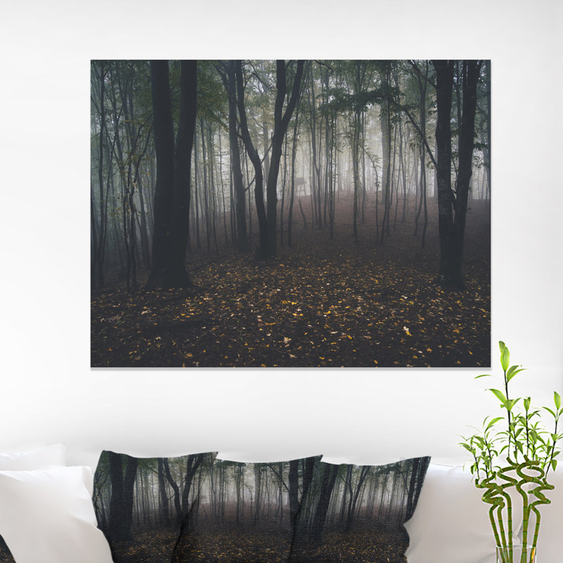 «Dark Spooky Misty Wild Forest», reproduction de photo, H 30 po x l 40 po x P 1,5 po, Toile tendue