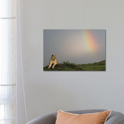 Africa, Kenya, Maasai Mara National Reserve. Female Lion And Rainbow. by Jaynes Gallery - Wrapped Canvas Print