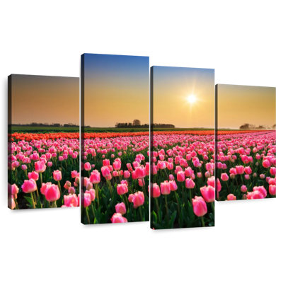 Champ de tulipes Alvord Pays-Bas