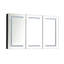 Armoire de salle de bain 48 po x 30 po avec DEL, miroir, douilles, intensité variable, brouillard, facteur de séjour en aluminium noir mat