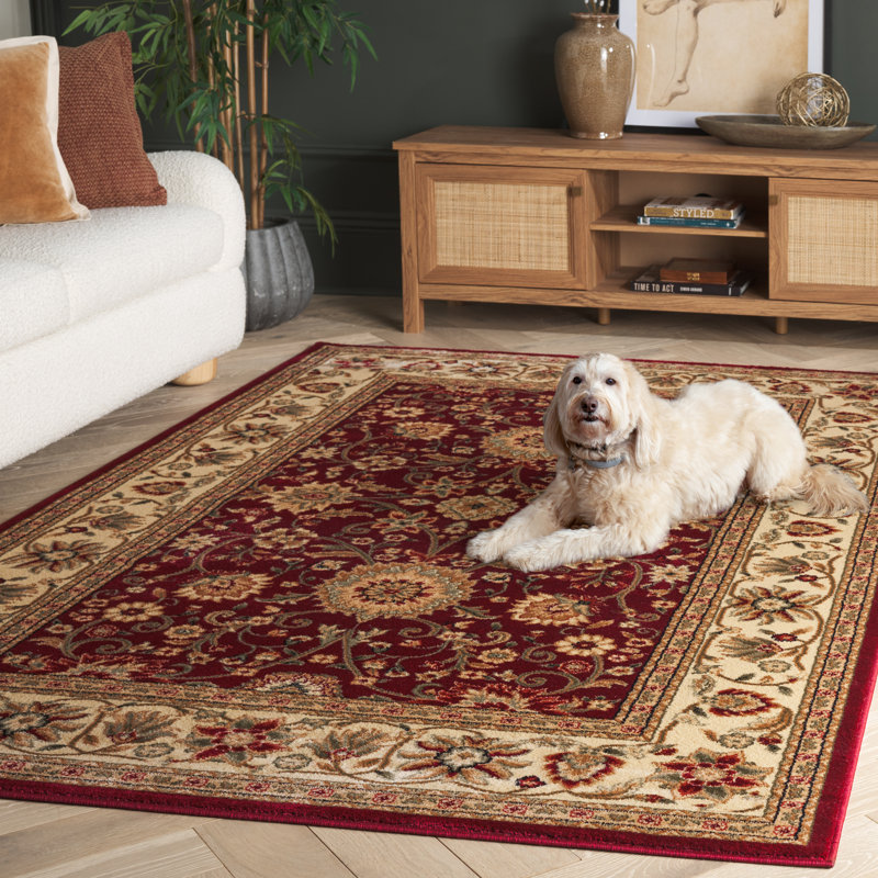 Tapis oriental Klose Performance, Rectangle 5 pi 3 po x 7 pi 6 po, Red/Ivory