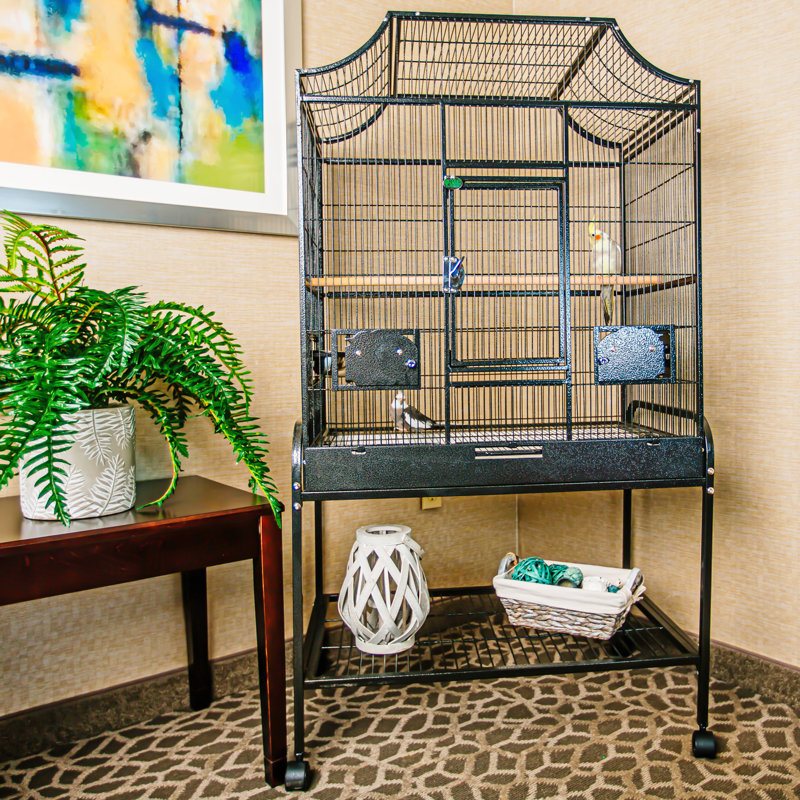 Cage à oiseaux victorienne pour étage supérieur, grande, noire, H 61 po x l 32 po x P 21 po, Noir