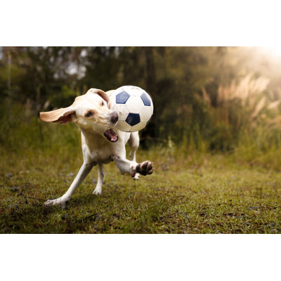 Dog Playing Soccer by Capuski