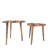 Angeni 2 Piece Nest of Tables