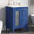 Bleu est en rupture de stock