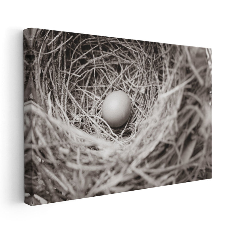 Nesting - Canvas Print Wall Art, 20" H x 30" W