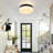 Modern Black Metal Frame Milky Glass Shade Led Flush Mount Ceiling Light, 5 Color Temperatures Adjustable For Living Room Bedroom-85124784-85124789