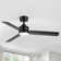 Bubacarr  48'' Matte Black Ceiling Fan with LED Light and Remote Control