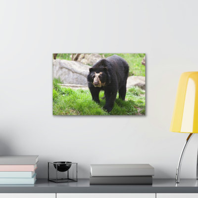 No Frame Print on Canvas