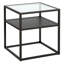 Deimy Glass Top Frame End Table